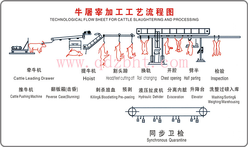 牛屠宰流水線表示圖